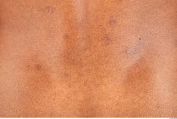 Photo Textures of Human Skin